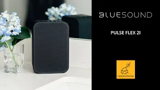 BLUESOUND PULSE FLEX 2I