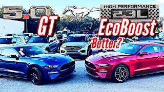 The EcoBoost is the Mustang to buy right now!  Better than the GT?