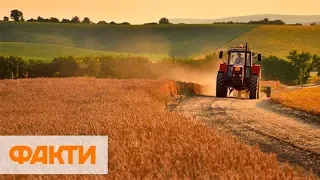 Продать и купить. Какие поправки внесут в закон о рынке земли