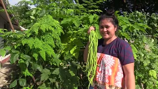 Part 1 - Ate Yenyen #Harvesting #Vegetables #Gardening in #Mwan #Chuuk