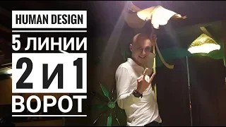 Дизайн Человека 2 и 1 ворота. 5 линии Даниил Трофимов. Human Design