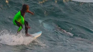 Boy Unwittingly Surfs Over Massive Great White Shark In Horrifying Photo Captured By His Dad