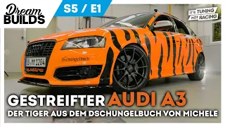 DreamBuilds S5E1 - Gestreifter AUDI A3 - der Tiger aus dem Dschungelbuch von Michele