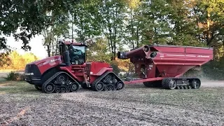 Soybean Harvest 2019, Case International Tractors & Combines!