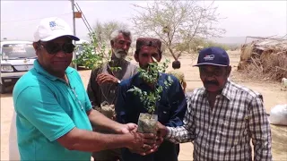 One Million Tree Plantation Documentary