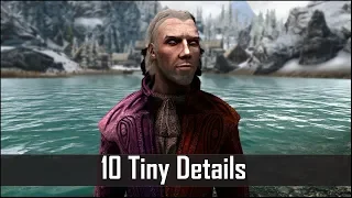 Skyrim: Yet Another 10 Tiny Details That You May Still Have Missed in The Elder Scrolls 5 (Part 37)