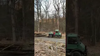 Unimog 406 Cabrio beim Holzrücken (Brennholz)