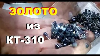 золото из транзисторов КТ-310 (полубочёнки)