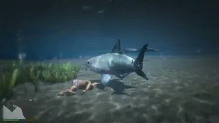 Tiger shark part 1 in GTA V