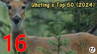 Uhsting's Top 50: Week 16 of 2024 (20/4)