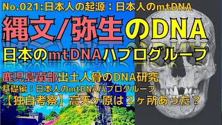 日本人の起源：九州南部縄文・弥生人骨のDNA分析　UMA No021