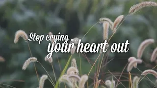 Oasis - Stop crying your heart out (from "Efeito Borboleta") | (Tradução/Legendado)