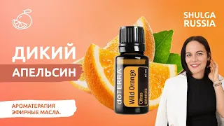 ДИКИЙ АПЕЛЬСИН - самое вкусное эфирное масло | Ароматерапия и нутрициология Wild Orange CTPG DoTerra