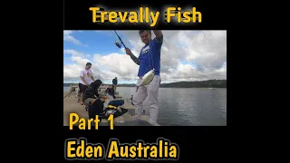 Vlog#3 | Fishing sa Eden NSW Australia (Part 1)