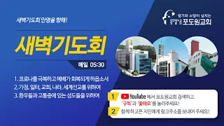 2022. 06. 20 포도원교회 새벽기도회(설교영상)