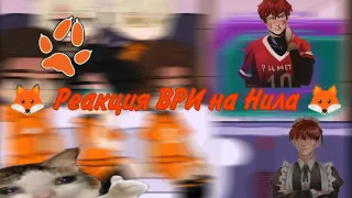 🦊 — Пробная реакция ВРИ на Нила — 🦊