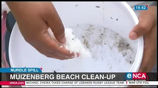 Muizenberg beach clean up