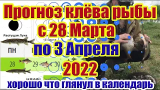 Прогноз клева рыбы на Эту неделю с 28 Марта по 3 Апреля Календарь рыбака на Апрель Лунный календарь