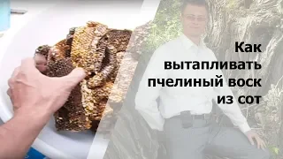 Как вытапливать пчелиный воск из сот