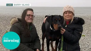 Meet The Incredible Dog Who Found A Kidney Donor | This Morning