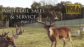 Missouri Big Bucks | Whitetail Sales & Services Part 2