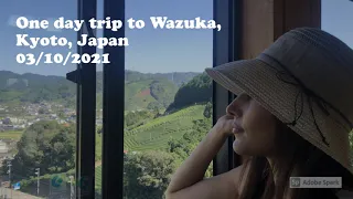 One day trip to Wazuka, Kyoto, Japan.