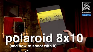 What is Polaroid 8x10? Breaking down Polaroid's largest format with the Intrepid Camera 8x10 MKIII