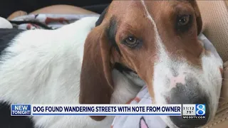 Rescuers seek owner who abandoned dog with note
