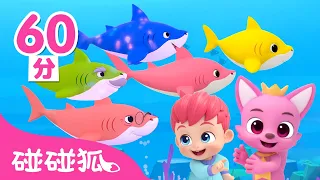 貝貝彬 @Bebefinn_TW 👶 鯊魚寶寶體操＋更多 鯊魚歌特集  Baby Shark doo doo 🦈  連續播放 經典兒歌 童謠 | 碰碰狐 Pinkfong!