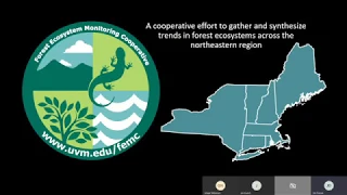 Webinar: Threats to the Urban Forest project by FEMC 06/23/2020