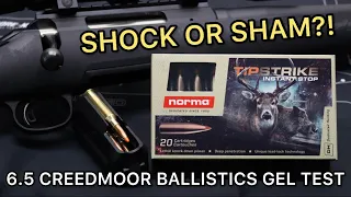 BIG SCAM?! 6.5 Creedmoor Norma Tipstrike 140gr Ammo Test