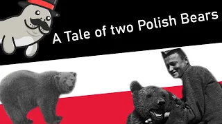 Polish Soldier Bears