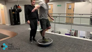 Single Leg Stance on Bosu Ball with Perturbations