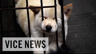 VICE News Daily: Beyond The Headlines - December 19, 2014