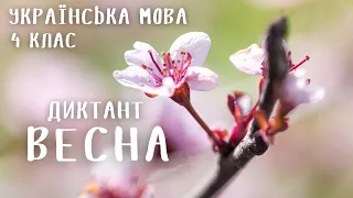 4 клас. Українська мова. Диктант "Весна" | Дистанційне навчання