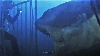 Les Dents de la Mer : Le requin détruit la cage