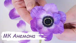 Анемона из полимерной глины (холодного фарфора)