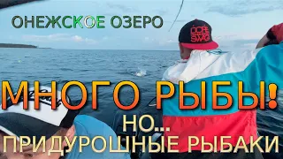 Рыбалка на Онеге 2022 | Троллинг Судака | Поймали много рыбы на Онежском озере в июле