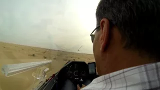 Camels on final