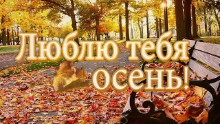 Люблю тебя ОСЕНЬ  Андрей Обидин - Музыка Осени