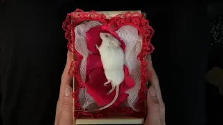 Mouse Funeral