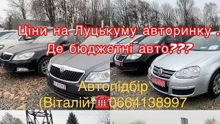 Луцький авторинок . Де бюджетні авто??? #автопідбір #підбіравто 15 листопада 2022 р.