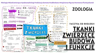 Tkanki zwierzęce - Budowa i funkcje tkanek zwierzęcych  - Darmowe korepetycje - Zoologia