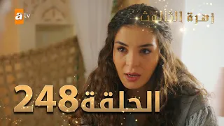 مسلسل زهرة الثالوث - الحلقة 248 | مدبلج | الموسم الثاني