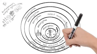 Ecological systems theory