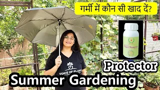 🔴8 TIPS TO CARE PLANTS IN SUMMER/PLANT PROTECTOR गर्मी मे प्लांट को कैसे बचाये #garden #summer