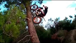 Best Trial Bike Stunts
