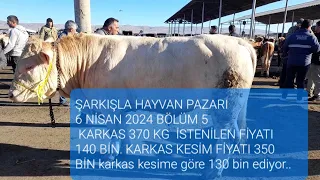 ŞARKIŞLA HAYVAN PAZARI BÜYÜKBAŞ BÖLÜM 5 /6 NİSAN 2024