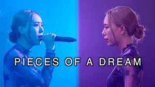 【タナカガ】CHEMISTRY / PIECES OF A DREAM 歌ってみた