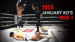 MMA & Boxing Knockouts I January 2023 Week 1